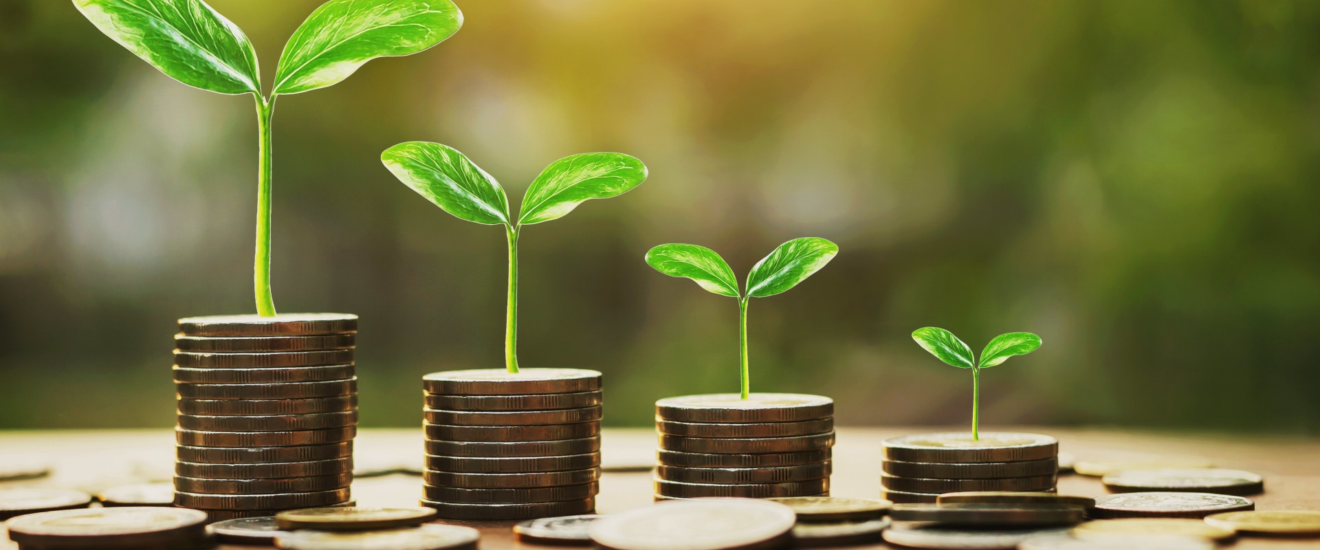 How do I find a small business to invest in?